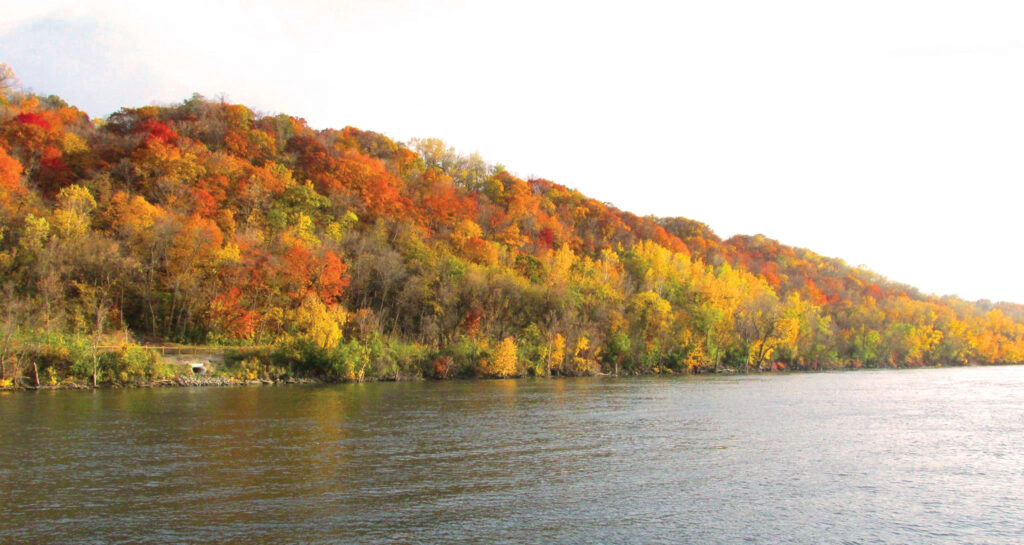 a3d587 ae11bc282aff41759a3e4032d294fd80~mv2